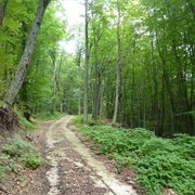 Altyaghach National Park