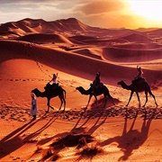 Camel Trek in the Sahara, Morocco