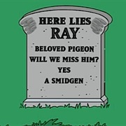 How Munched Is That Birdie in the Window?