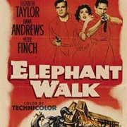 Elephant Walk