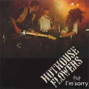 Hothouse Flowers - I'm Sorry