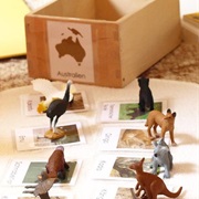 Fill Five Boxes Containing Things Fitting Each Continent