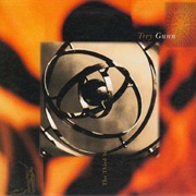 Trey Gunn - The Third Star