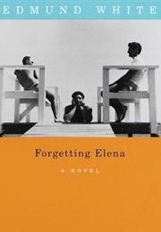 Forgetting Elena (Edmund White)