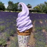 Lavender Soft Cream