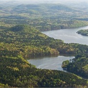 Uwharrie National Forest
