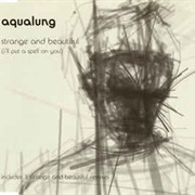 Aqualung, Strange and Beautiful (I'll Put a Spell on You)