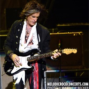 The Joe Perry Project