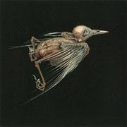 Jenny Hval & Susanna - Meshes of Voice