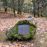 Vinzenz Lausmann Memorial State Natural Area, Oregon