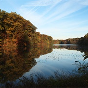 Red Hills State Park, Illinois