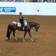 Horsemanship