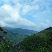 Be Inspired at Inspiration Point on the Alum Cave Trail, Smoky Mountains