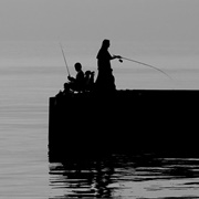 Have You Ever Caught a Fish