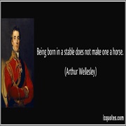 Being Born in a Stable Does Not Make One a Horse
