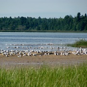 Cheboygan State Park, Michigan