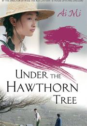 Under the Hawthorn Tree
