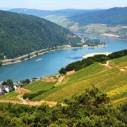 The Rhine River