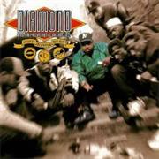 Diamond D - Stunts, Blunts & Hip-Hop