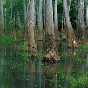 Pond Creek National Wildlife Refuge