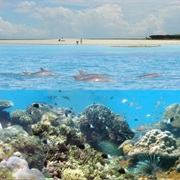 Wasini Island, Kenya