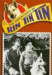 The Adventures of Rin Tin Tin*