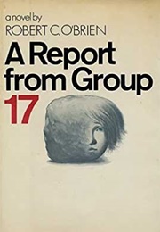 A Report From Group 17 (Robert C. O'Brien)