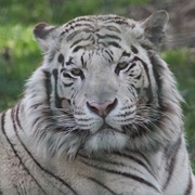 Paradise Wildlife Park