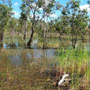 Staaten River National Park (QLD)