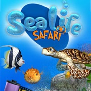 Sea Life Safari
