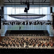 Ir a Concerto Na Casa Da Música