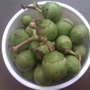 Fragrant Manjack (Cordia Dichotoma)