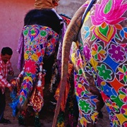 Jaipur Elephant Festival (India)