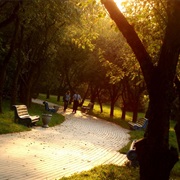 Minsk Botanical Garden