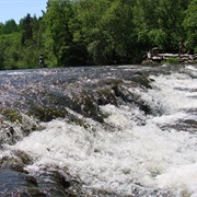 Abava Valley Natural Park (Abavas Ielejas Dabas Parks)