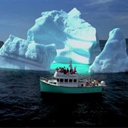 Iceburg Alley Tour (NL)