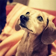 Jeff Kaale - Lonely but Okay (2018)