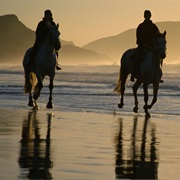 Horseback Riding on the Beach