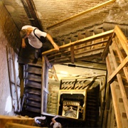 Climbed a Tower in Bologna, Italy