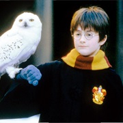 The Orphan Who Makes Good