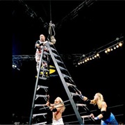 T.L.C. I,Summerslam 2000