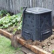 Start a Compost Bin