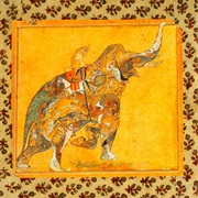 Julian Lynch - Orange You Glad