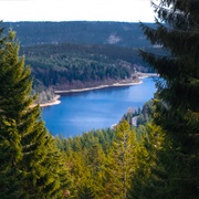Black Forest National Park