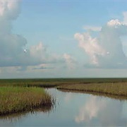 Texas Point National Wildlife Refuge
