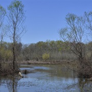 Panther Swamp National Wildlife Refuge