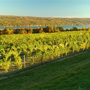 Finger Lakes Region of New York