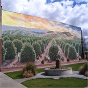 Exeter, CA Murals