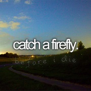 Catch a Firefly