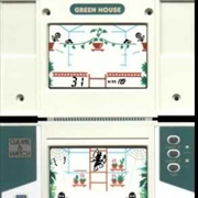 Green House